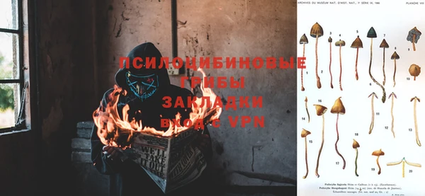 прущая мука Нефтегорск