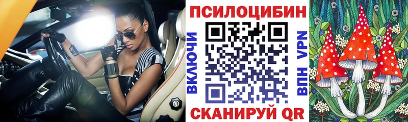 Псилоцибиновые грибы прущие грибы  Пудож 